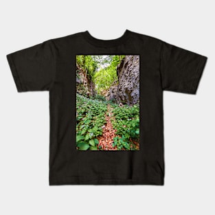 Hiking trail in the mountains Kids T-Shirt